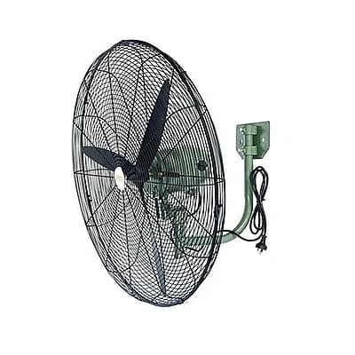 Fans