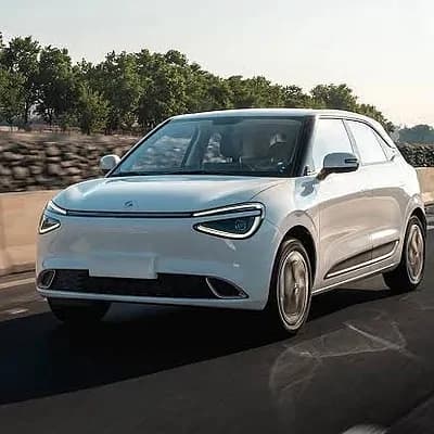Electrics Vehicle