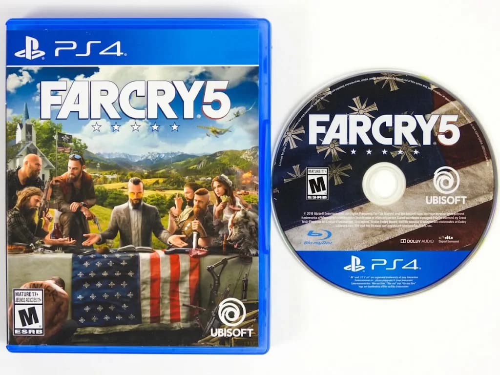 Ubisoft Far Cry 5 - PS4 3