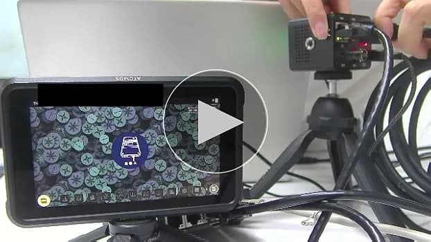 Zowiecam 4k Pov Camera 4