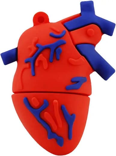 3D Human Heart Silicone USB Flash Drive