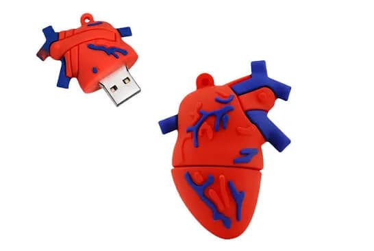 3D Human Heart Silicone USB Flash Drive 2