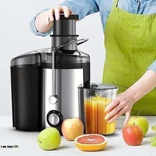 Bajaj Fruit Juice Extracting Machine 4