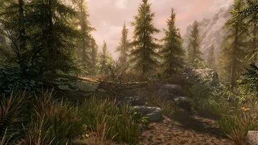 The Elder Scrolls V: Skyrim Special Edition - Xbox One 4