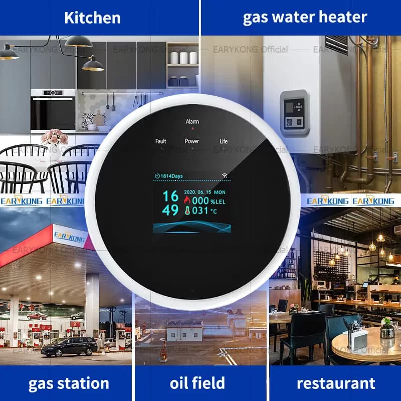 Tuya WiFi Natural Gas Leakage Detector (Gas Leak variant) 4