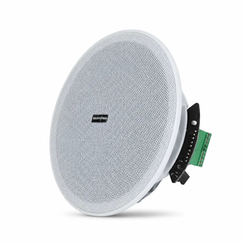 Zoya Ceiling Speaker 30W
