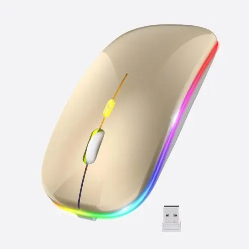 Rechargeable Wireless and Bluetooth Mouse