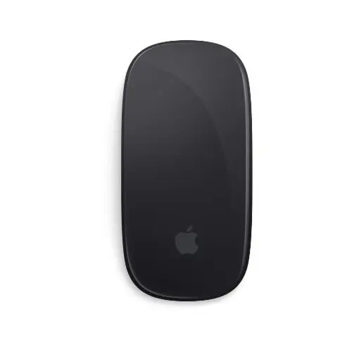 Apple Magic mouse 2 1