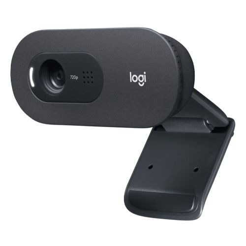 Logitech C505e Webcam