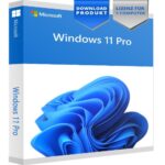 Microsoft Windows 11 Professional Download Version 1 PC 1 1