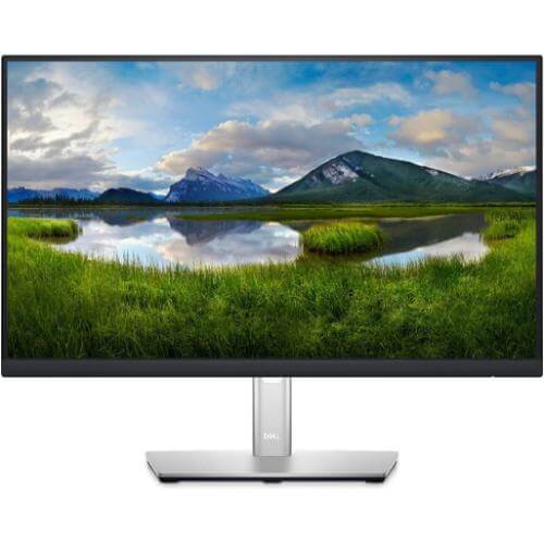 Dell P2222h 21.5" Monitor