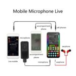 i9 Voice Changer Set with mic and jac